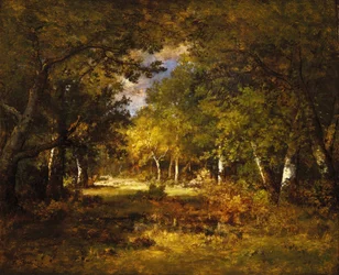 Escena del bosque